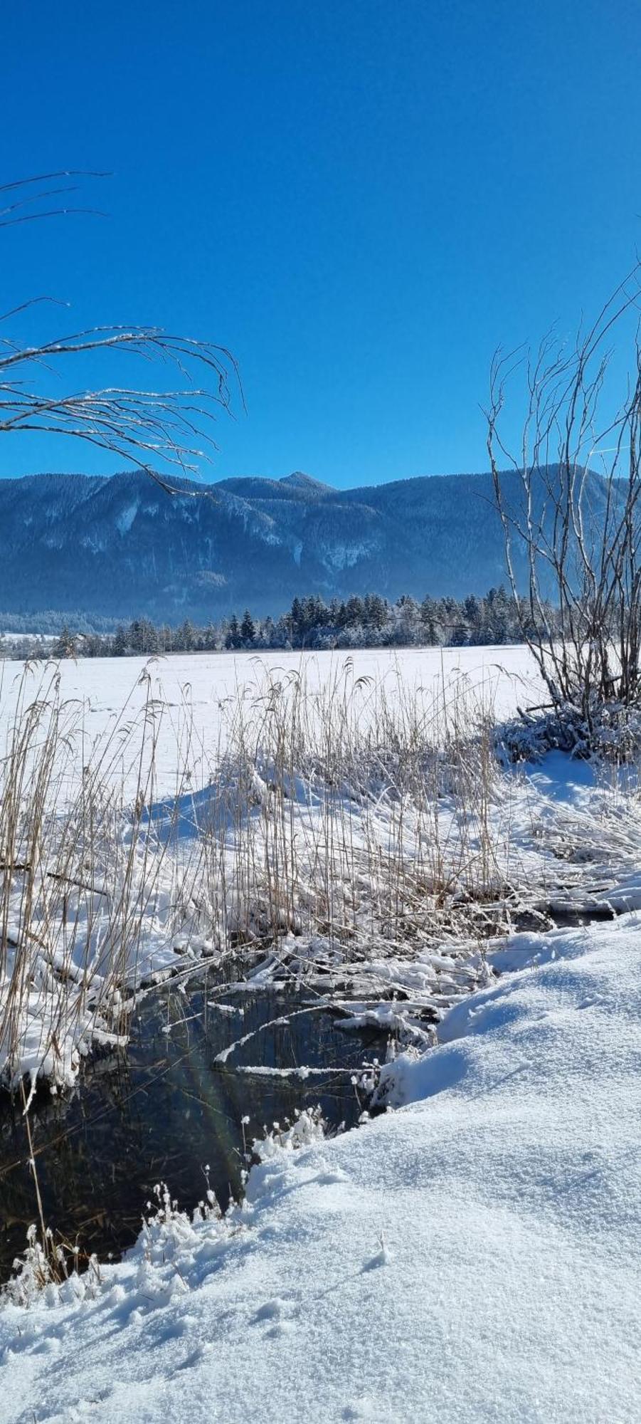 Aparthotel Werdenfels Murnau am Staffelsee Eksteriør billede
